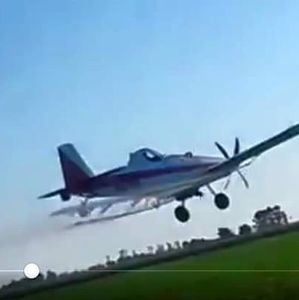 Meet your Posher, Marcia